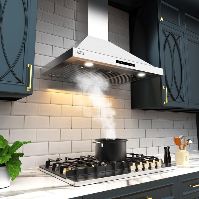 Empava 30 in. 380 CFM Wall Mount Range Hood