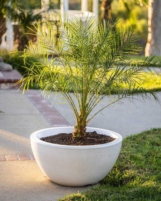 The Outdoor Plus Round Luna Planter Bowl - GFRC Concrete