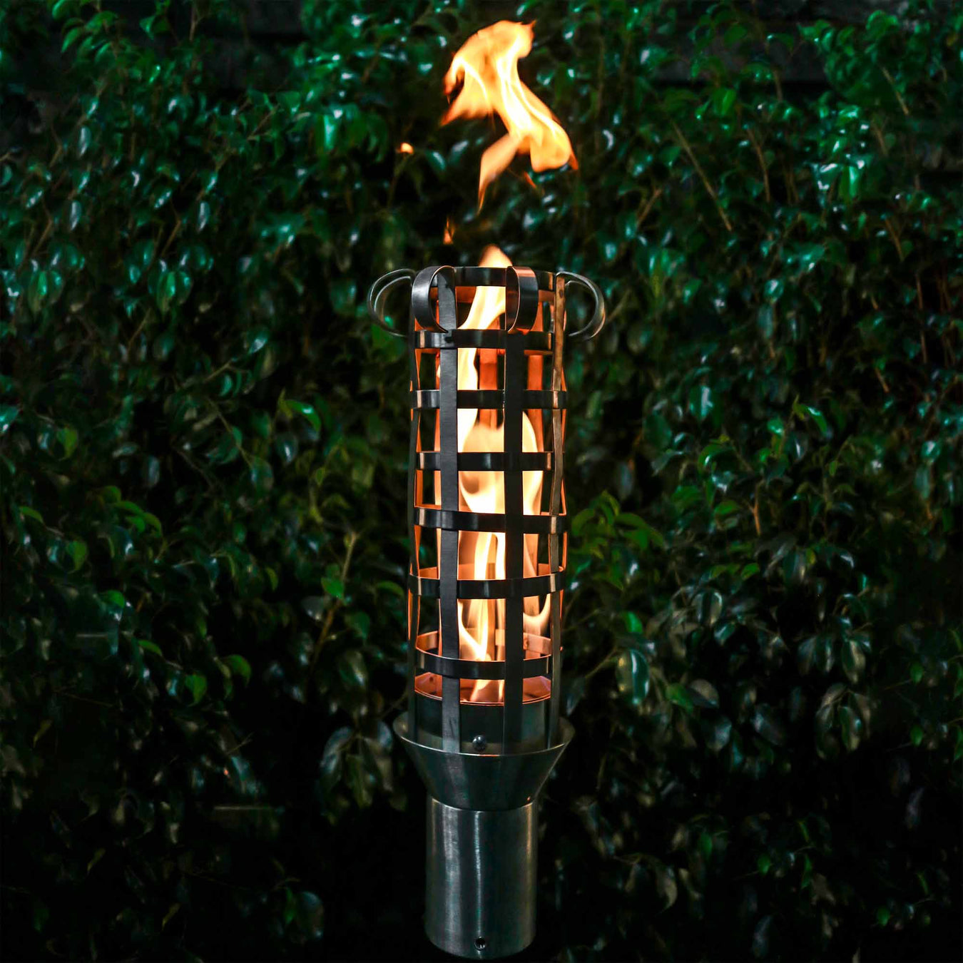 Fire Tower & Torches